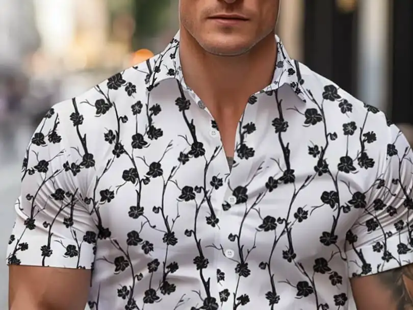 Camisas mangas cortas